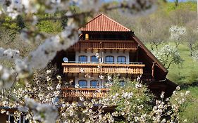 Kurparkhotel Faisst